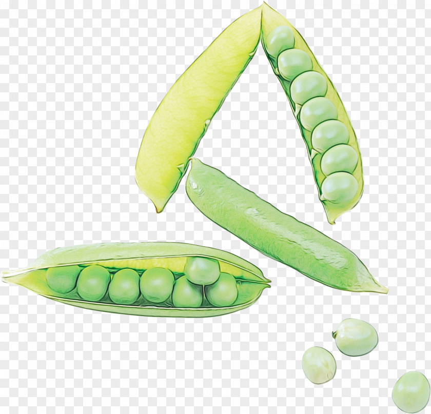 Pea Vegetable Plant Legume Lima Bean PNG