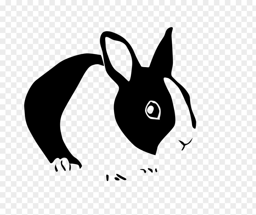 Rabbit Paper Netherland Dwarf Stencil Leporids PNG