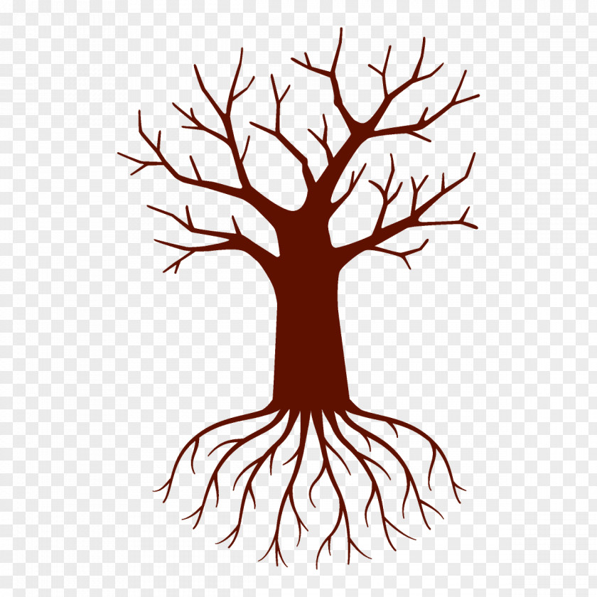 Twig Line Art Tree Branch Root Leaf Woody Plant PNG