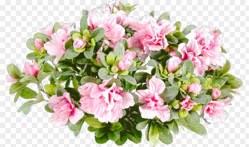 Crossbones Garden Roses Flower Bouquet Pink White PNG