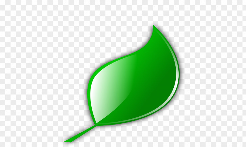 Leaf Natural Environment Graphics Image Ecology PNG