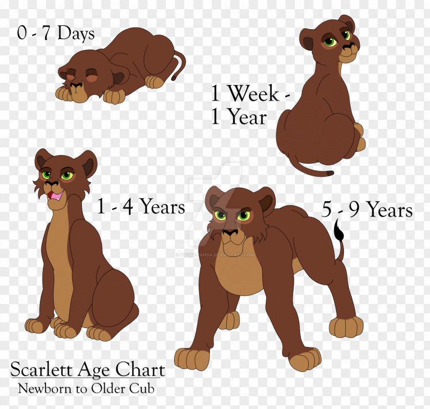 Lion Bear Dog Canidae Cat PNG