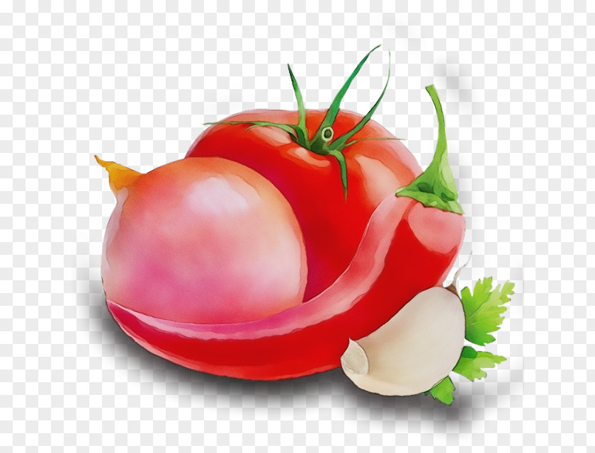Nightshade Family Vegan Nutrition Tomato Cartoon PNG