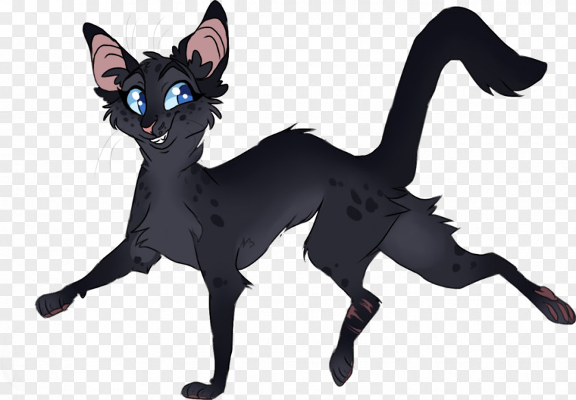 Erin Hunter Black Cat Kitten Warriors Leafpool PNG