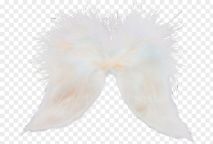 Fictional Character Costume Feather PNG