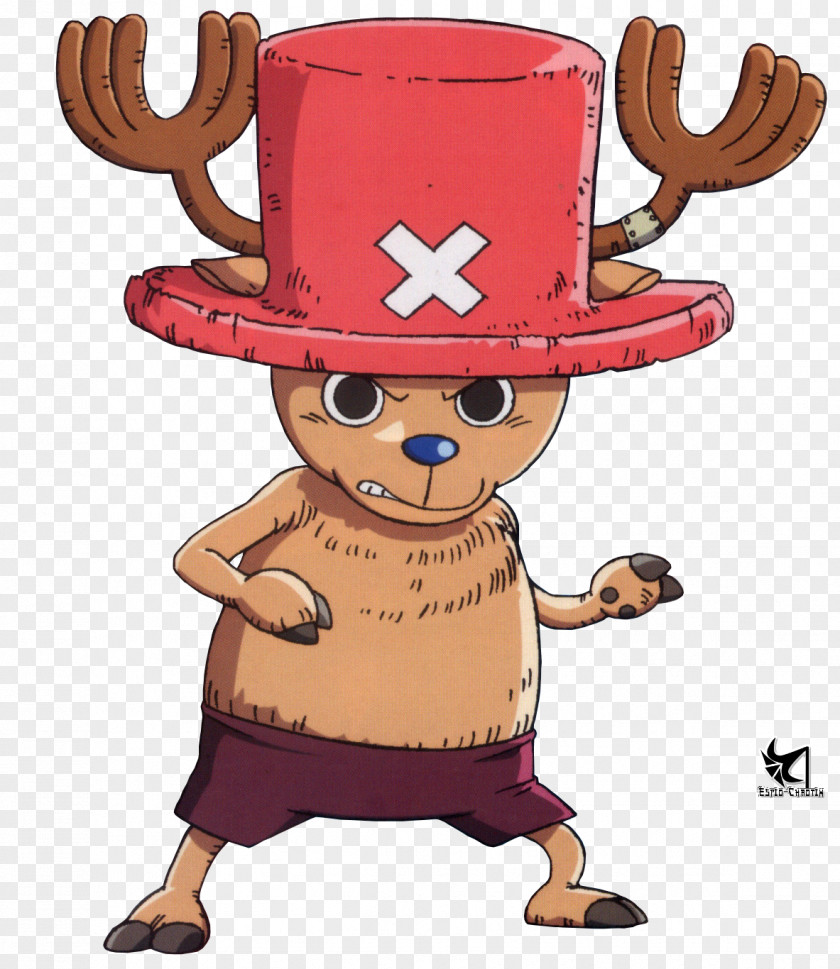 One Piece Tony Chopper Monkey D. Luffy Timeskip Straw Hat PNG