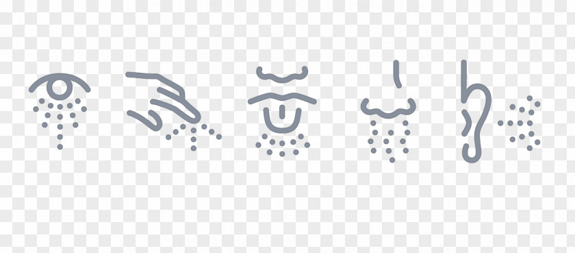 Symbol The Five Senses Sensory Nervous System Visual Perception PNG