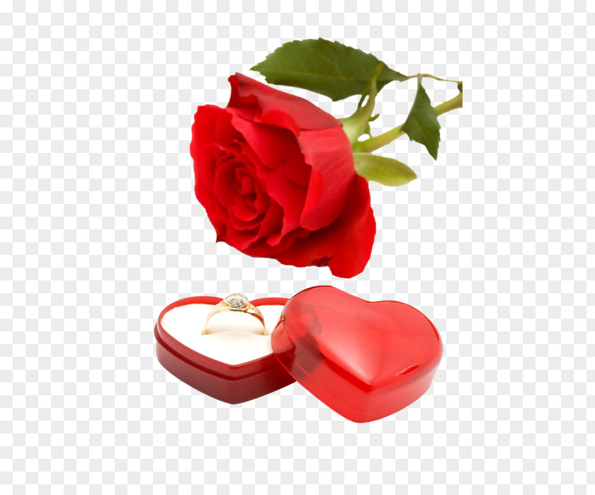 Wedding Ring Invitation Flower Rose PNG