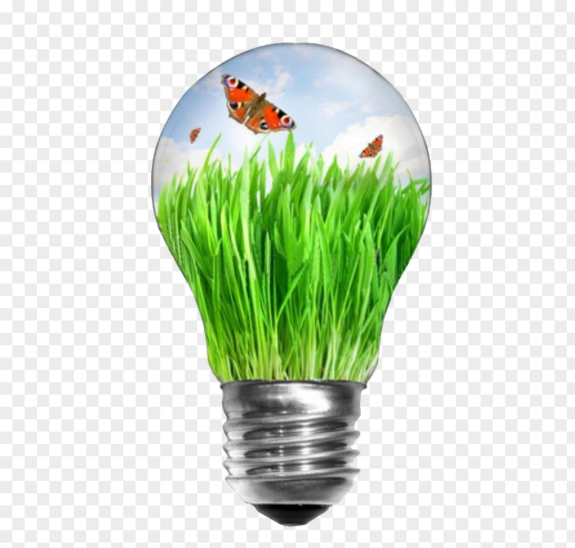 Butterfly Lamp Creative Incandescent Light Bulb Renewable Energy Stock Photography Efficient Use PNG