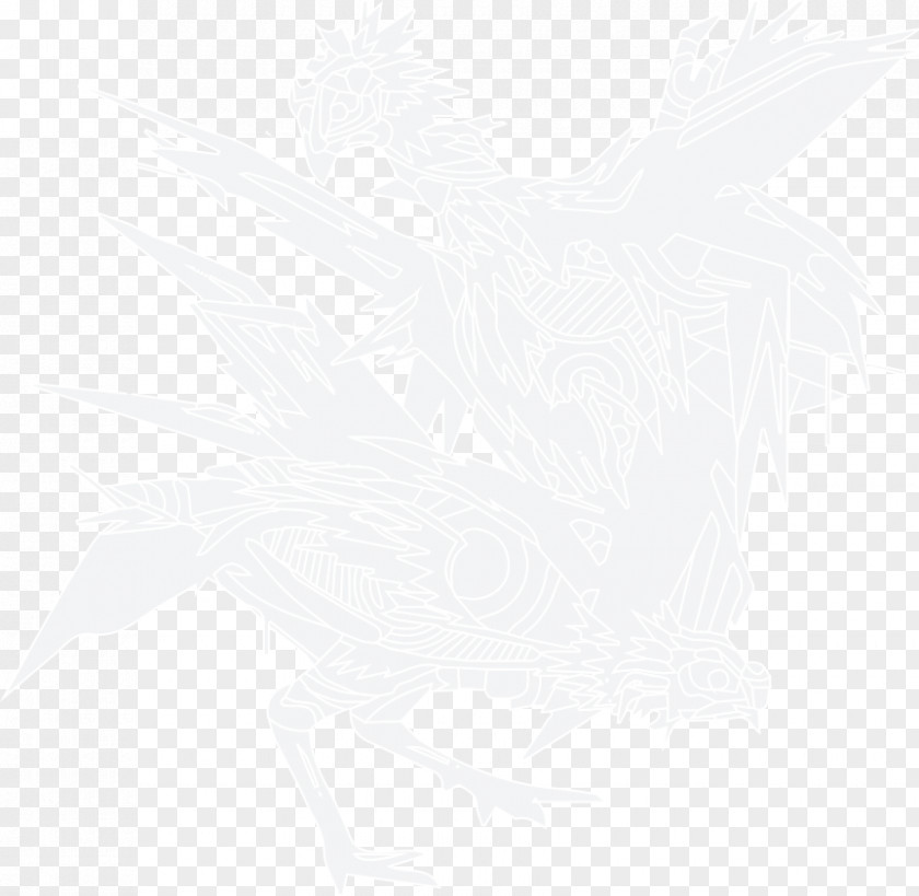 Feather Drawing Desktop Wallpaper /m/02csf Beak PNG