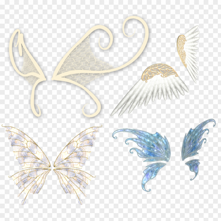 Hand-painted Butterfly Wings Wing Feather PNG