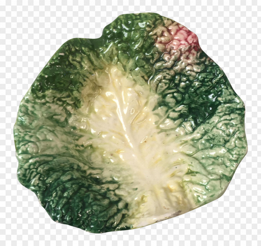 Hand-painted Leaves Mineral Cabbage PNG