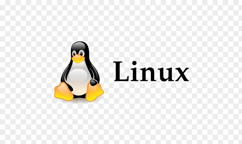 Linux Unix Operating Systems Command-line Interface Computer Software PNG
