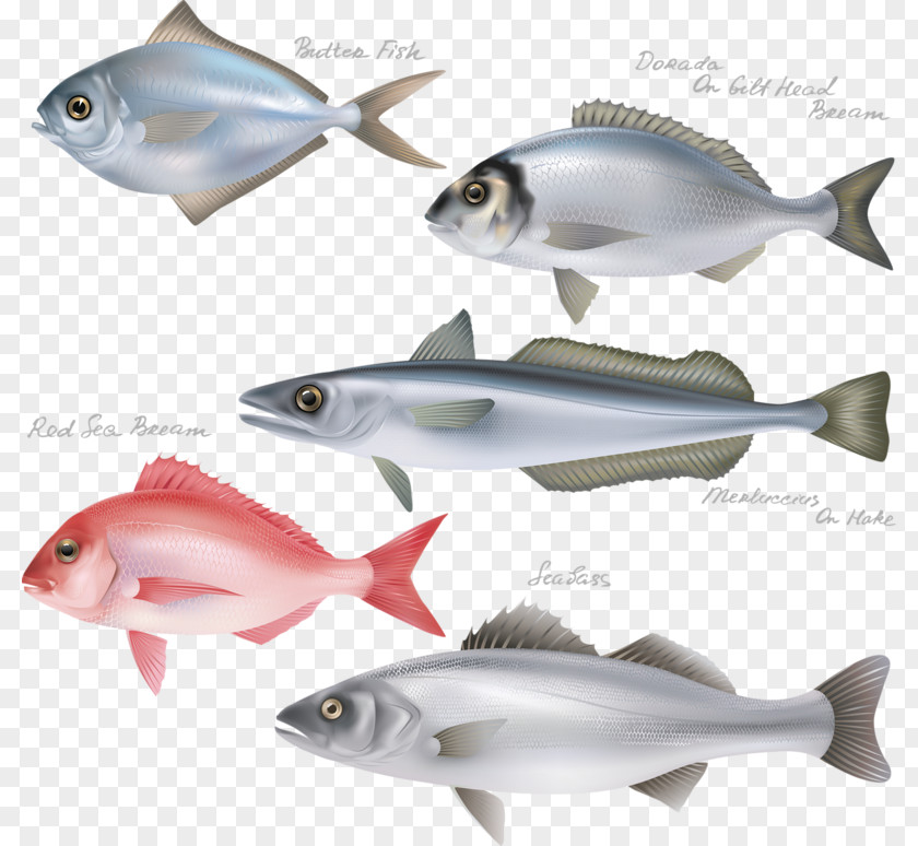 The Fish Icon Steak Fishing Clip Art PNG