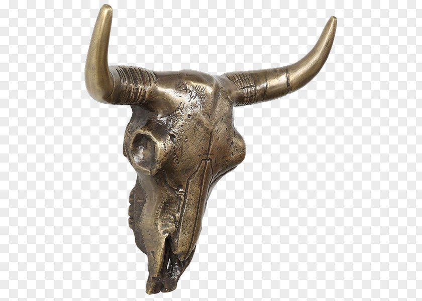 Buffalo Skull Cattle Bronze Sculpture Bone PNG