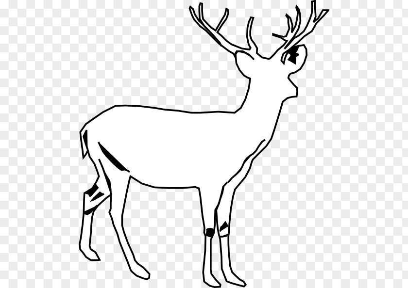 Deer Vector White-tailed Moose Seneca White Clip Art PNG