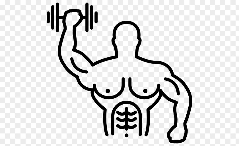 Dumbbell Fitness Centre Exercise Muscle PNG