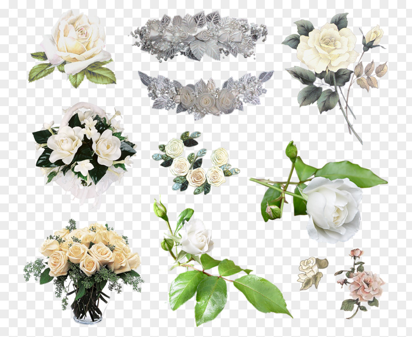 Rose Garden Roses Clip Art Flower PNG