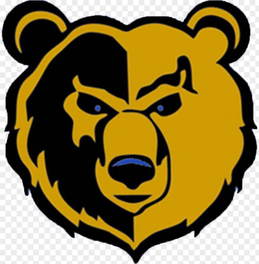 American Football Shelbyville High School California Golden Bears Sports New Palestine PNG