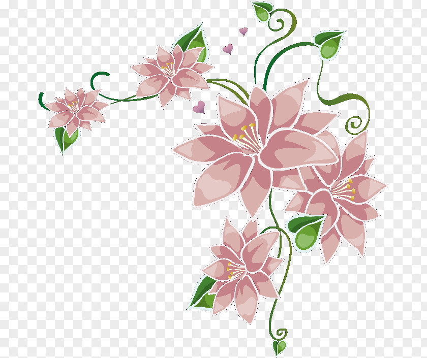 Butterfly Drawing Flower Paper Color PNG