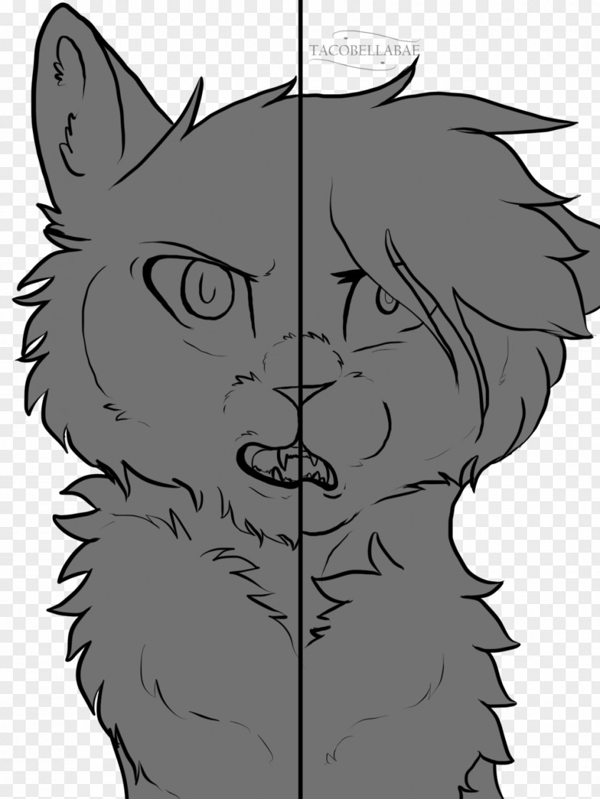 Cat Whiskers Line Art Sketch PNG