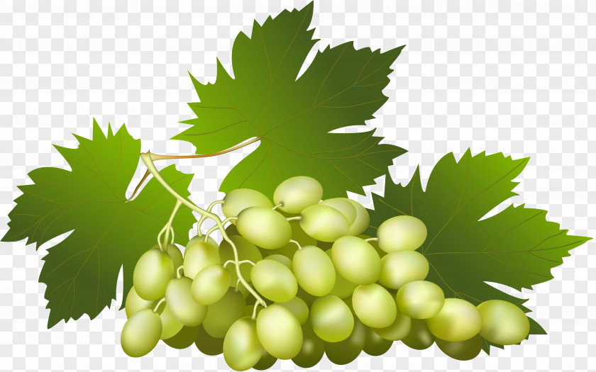 Grapes Juice Wine Grape Fruit PNG