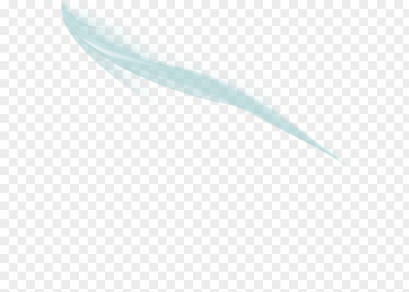 Line Feather PNG