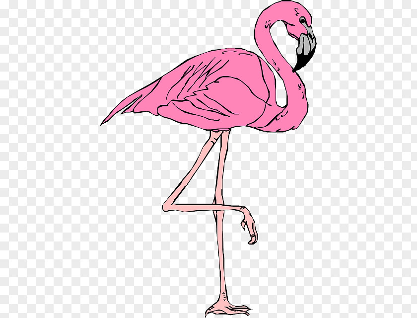 National Reading Day Flamingo T-shirt Clip Art PNG