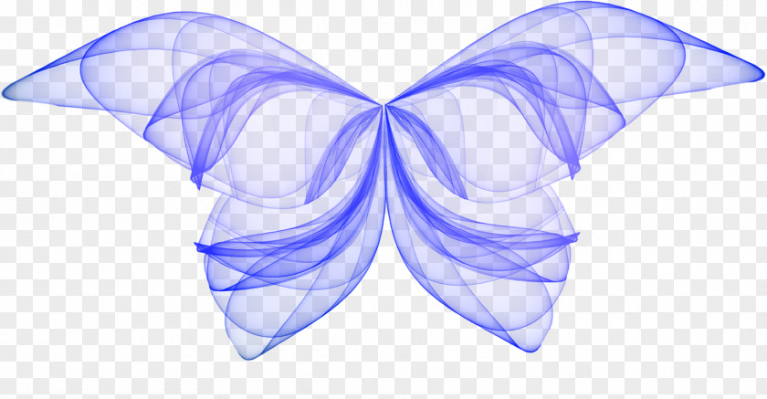 Wings Envelope Symmetry Silk PNG