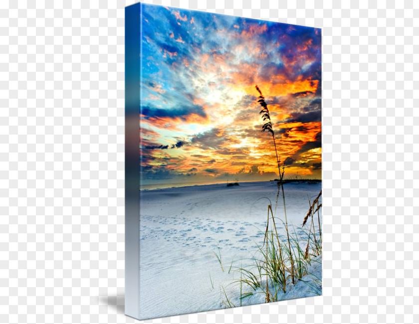 Beach At Sunset Picture Frames Photography Painting PNG