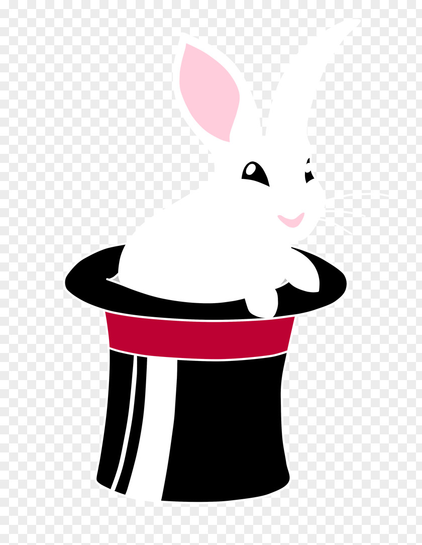 Cat Top Hat White Rabbit PNG