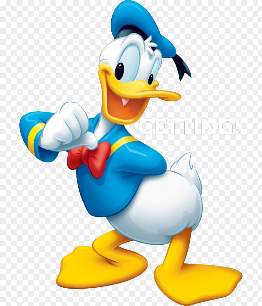 Donald Duck Duck: Goin' Quackers Daisy Pluto Mickey Mouse PNG