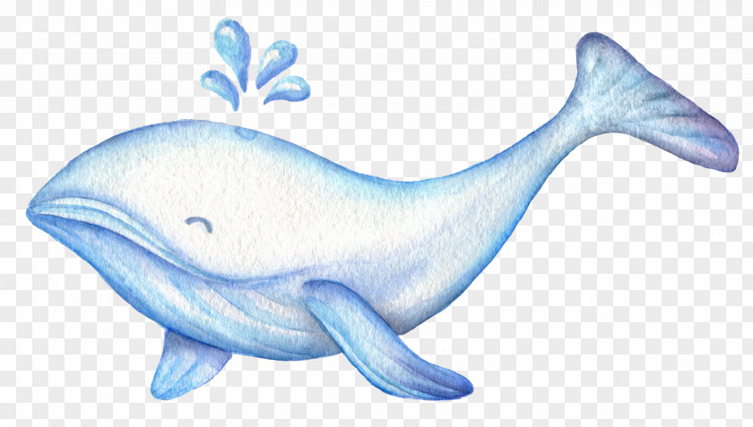 Fresh Sen Department Watercolor Cute Whale Cartoon Cuteness Illustration PNG