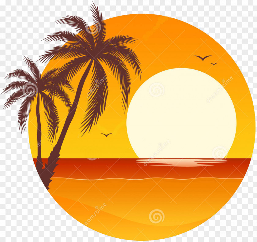 Palm Border Sunset Clip Art PNG