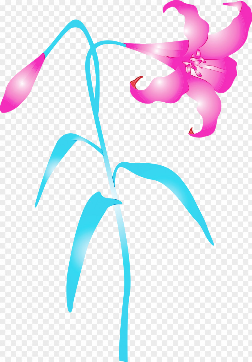 Pink Plant Flower Pedicel Magenta PNG