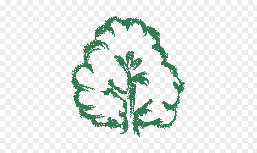 Tree Green PNG