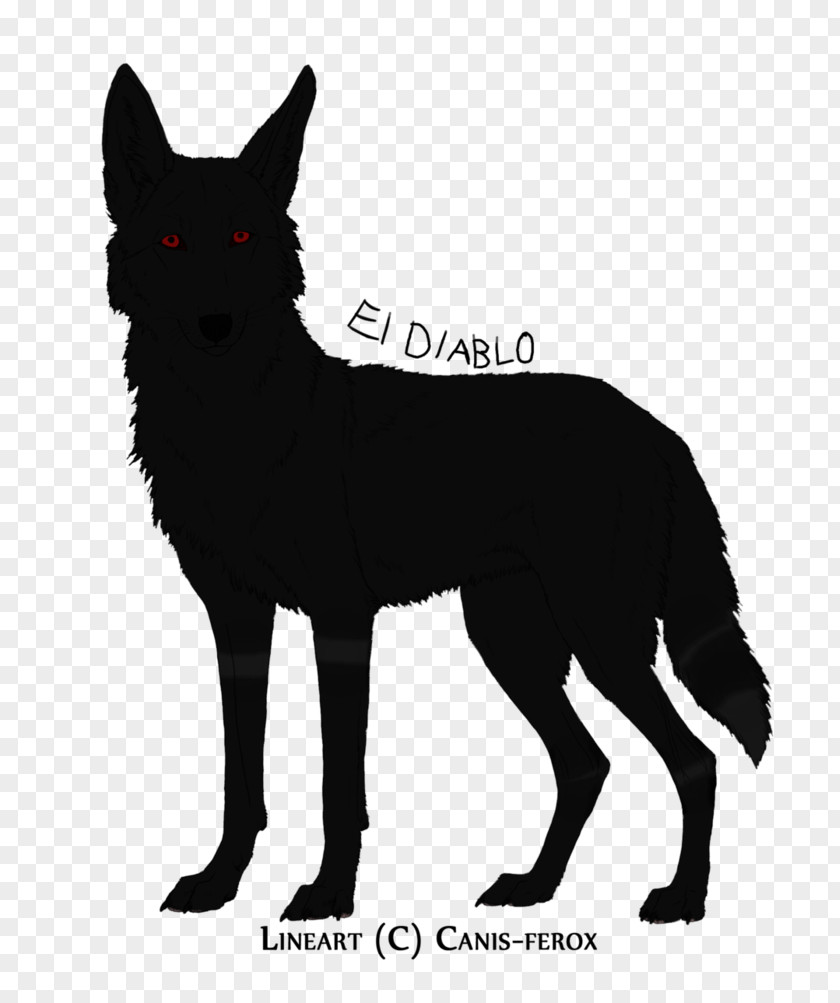 Cat Whiskers Schipperke Dog Breed Red Fox PNG