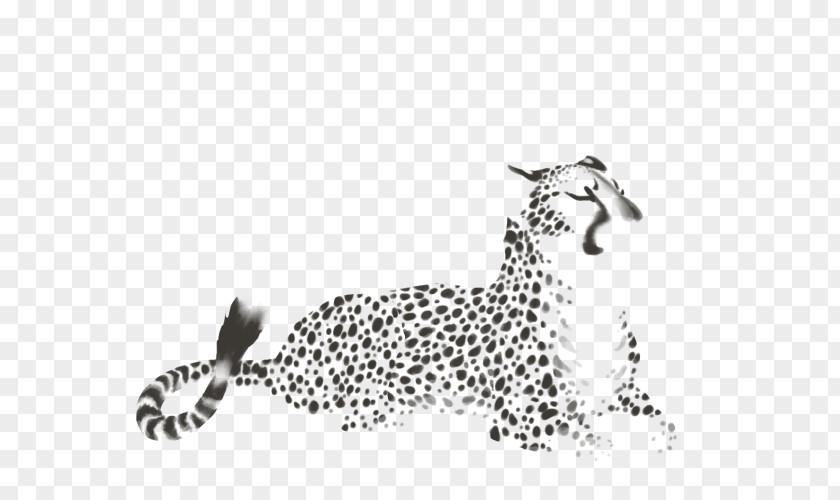 Cheetah Felidae Cat Giraffe Lion PNG