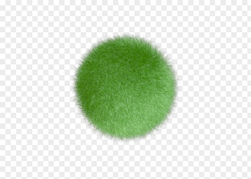 Color Ball Green PNG