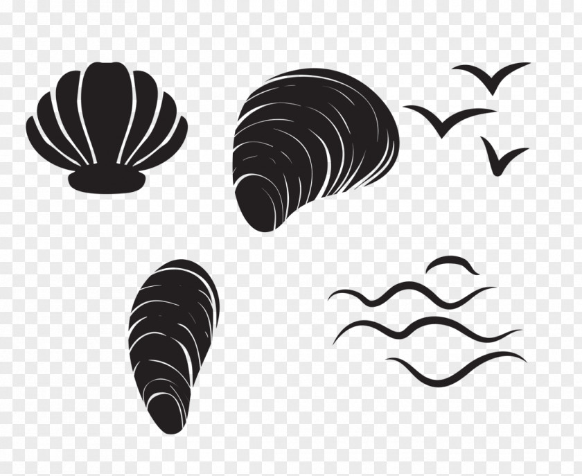 Conch Shells And Marine Animals Seashell PNG