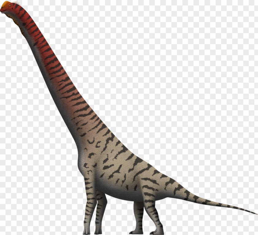 Giraffe Giraffatitan Brachiosaurus Velociraptor Cedarosaurus PNG