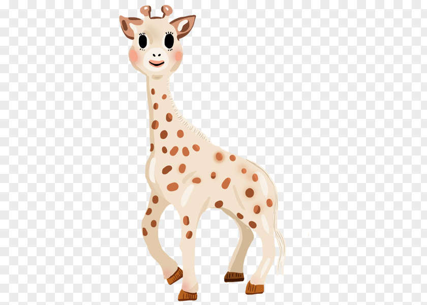 Giraffe Sophie The Neck Drawing Savoir PNG