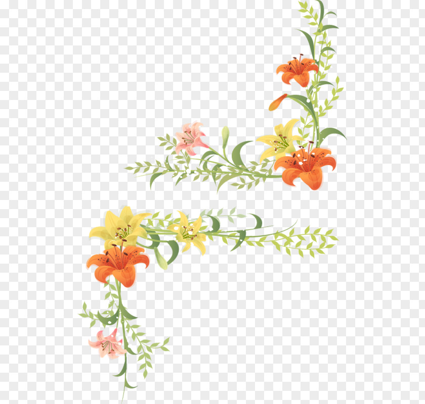 Hand-painted Lily Pictures Flower Vecteur Curb Clip Art PNG