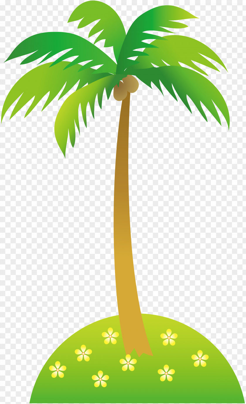 Palm Tree Trees Illustration Image Vector Graphics Clip Art PNG
