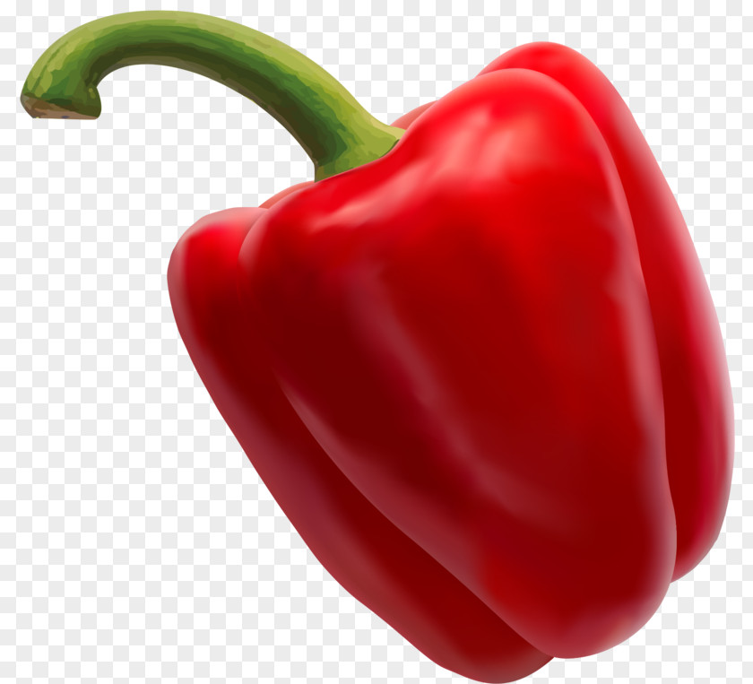 Red Capsicum Habanero Piquillo Pepper Jalapeño Serrano Tabasco PNG