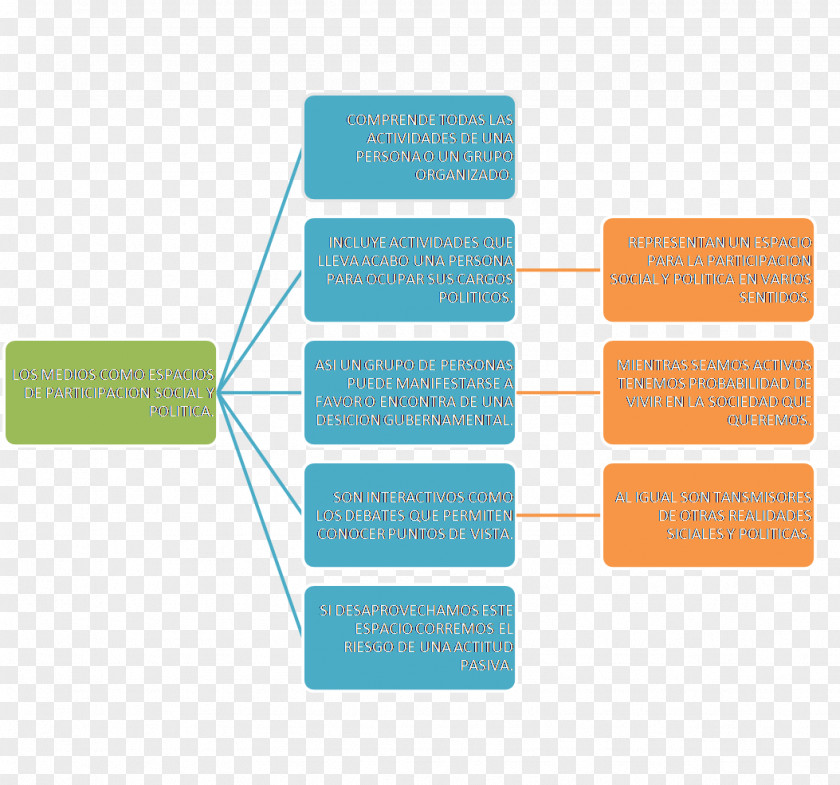 Tree Diagram Phylogenetic System PNG