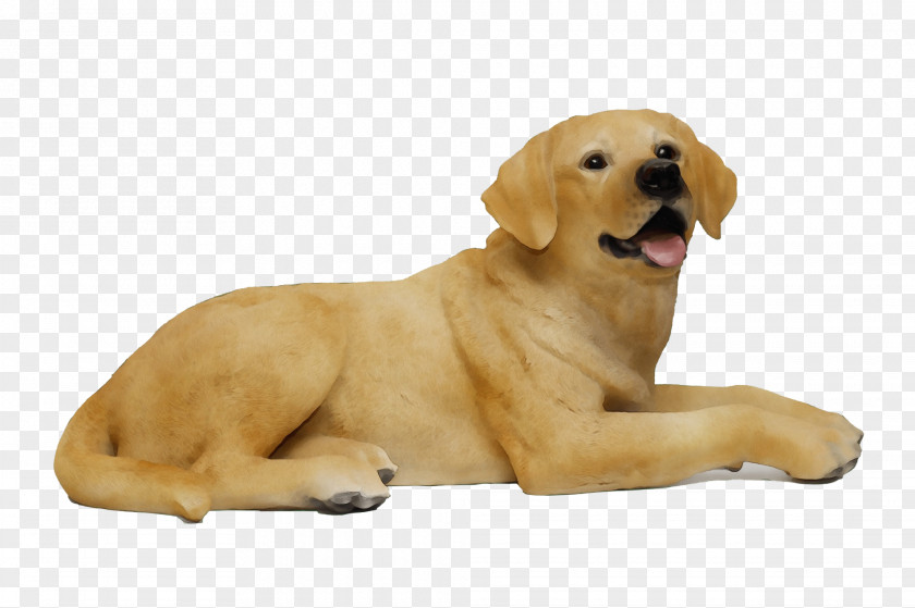 Animal Figure Ancient Dog Breeds Golden Retriever Background PNG