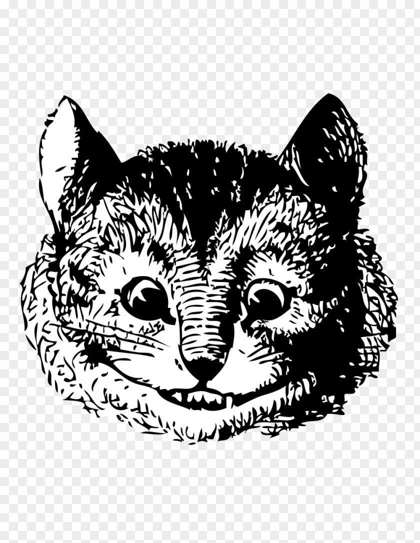 Cheshire Illustration Alice's Adventures In Wonderland Cat The Mad Hatter White Rabbit Caterpillar PNG
