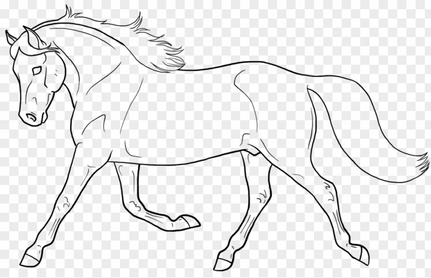 Painting Line Art Mule Welsh Pony And Cob Drawing PNG