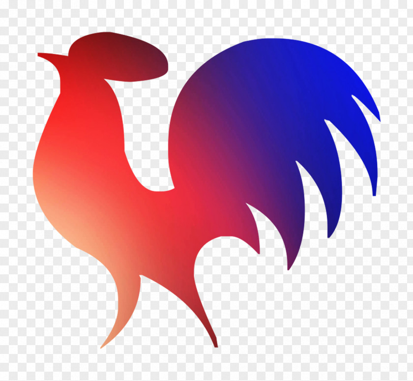 Rooster Chicken As Food Clip Art Beak PNG
